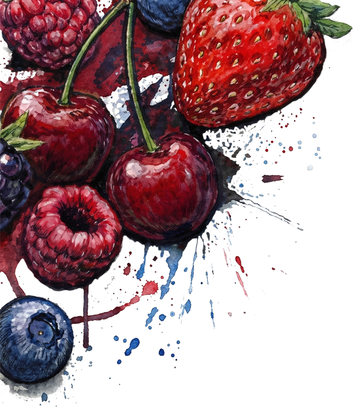 Декор BerryTex